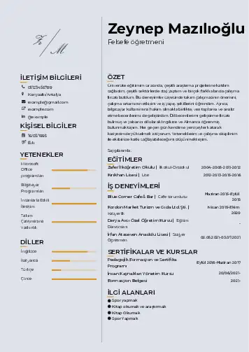 Felsefe Öğretmeni CV Örnekleri cv indir